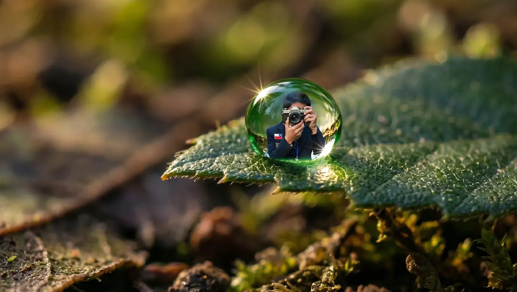 interescolar de fotografia