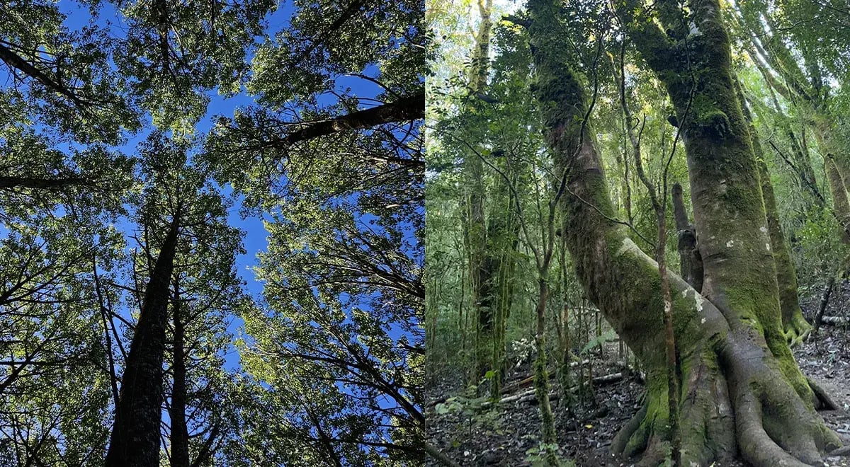 fotografias de ganadoras